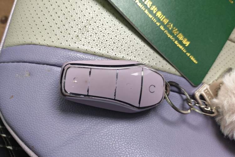 Used BYD Dolphin 2023 420 km Fashion Edition Vehicle Key