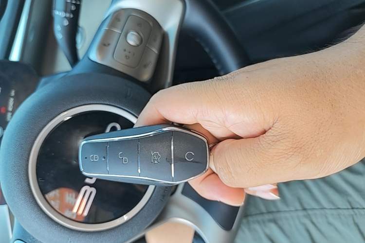 Used BYD Dolphin 2023 420 km Fashion Edition Vehicle Key
