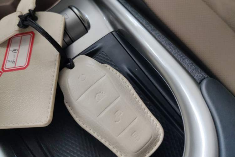 Used BYD Dolphin 2023 420 km Fashion Edition Vehicle Key