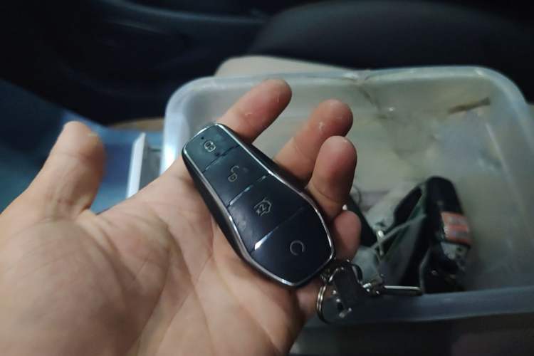Used BYD Dolphin 2023 420 km Free Version Vehicle Key