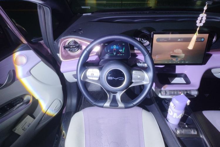 Used BYD Dolphin 2023 420 km Free Version Steering Wheel