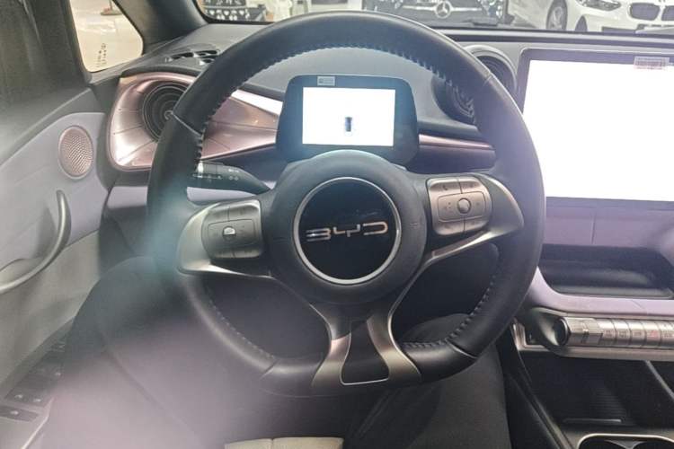Used BYD Dolphin 2023 420 km Free Version Steering Wheel