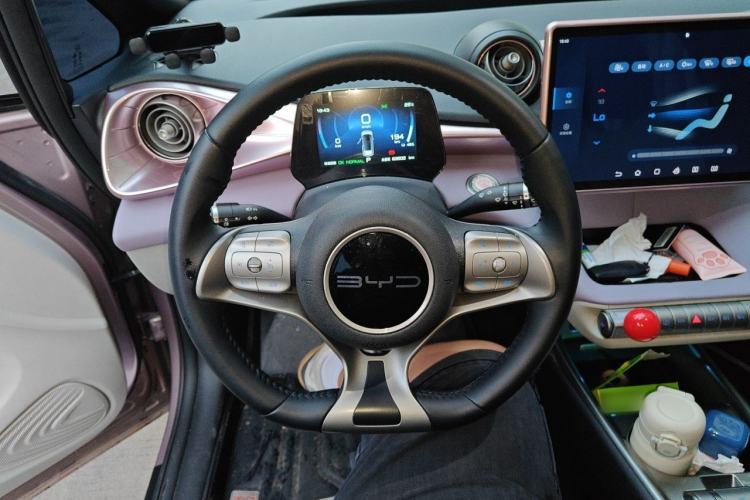 Used BYD Dolphin 2023 420 km Free Version Steering Wheel