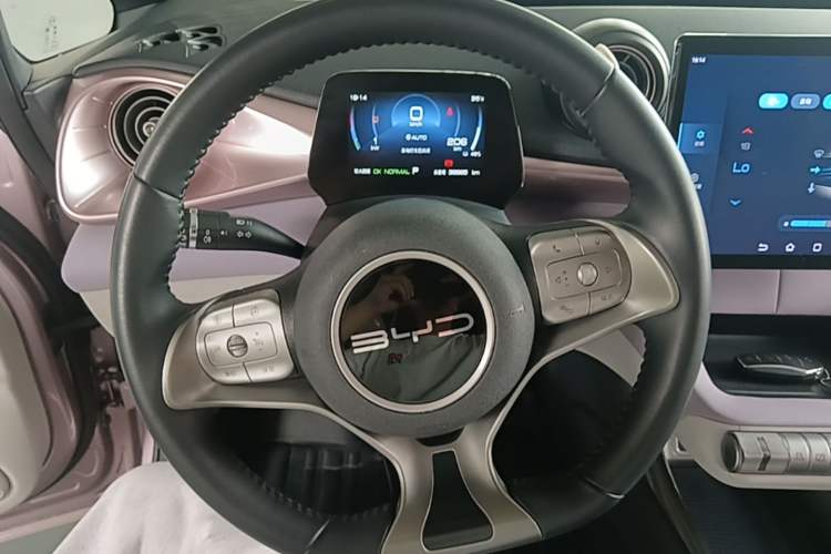 Used BYD Dolphin 2023 420 km Free Version Steering Wheel