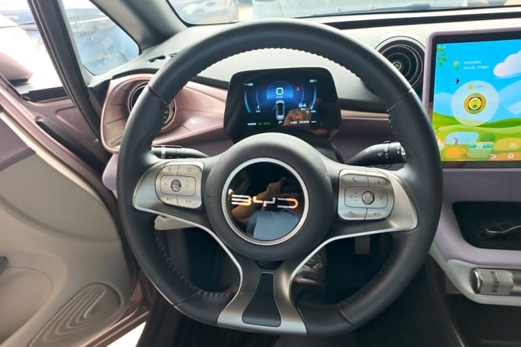 Used BYD Dolphin 2023 420 km Free Version Steering Wheel