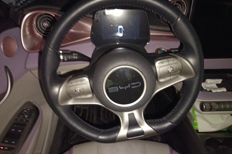 Used BYD Dolphin 2023 420 km Fashion Edition Steering Wheel