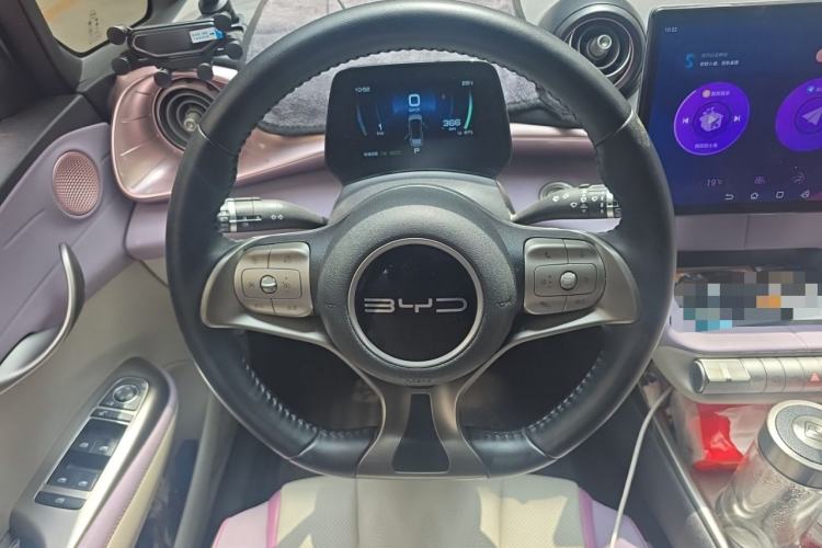 Used BYD Dolphin 2023 420 km Free Version Steering Wheel