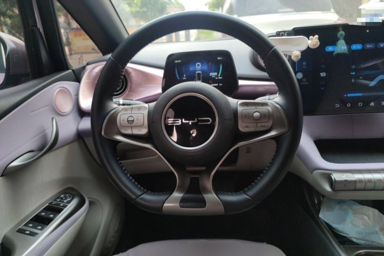Used BYD Dolphin 2023 420 km Free Version Steering Wheel