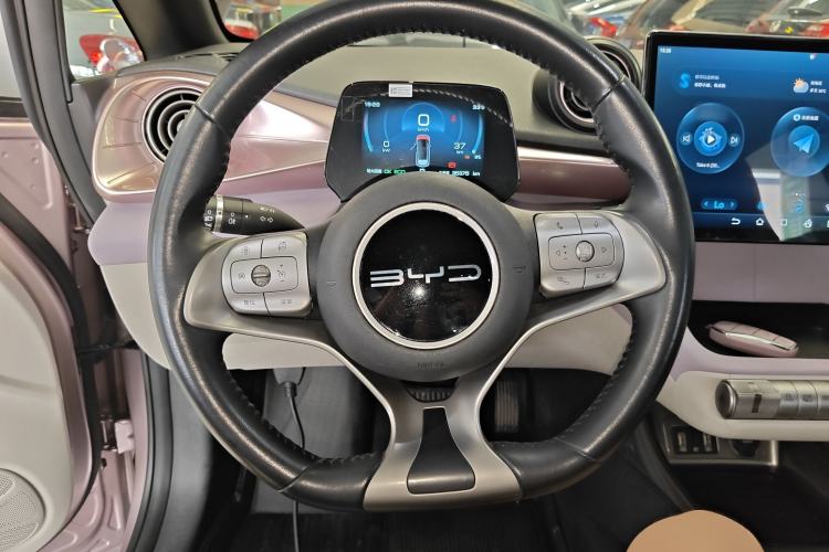 Used BYD Dolphin 2023 420 km Free Version Steering Wheel