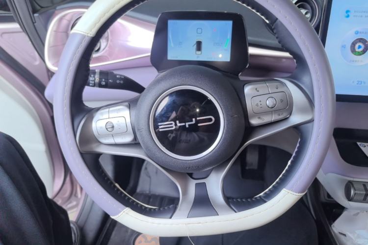 Used BYD Dolphin 2023 420 km Free Version Steering Wheel