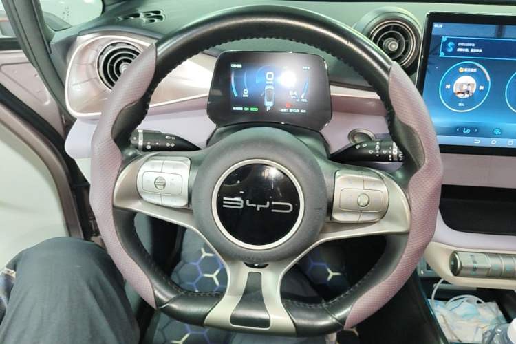 Used BYD Dolphin 2023 420 km Free Version Steering Wheel