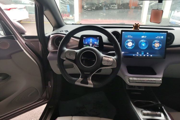 Used BYD Dolphin 2023 420 km Free Version Steering Wheel