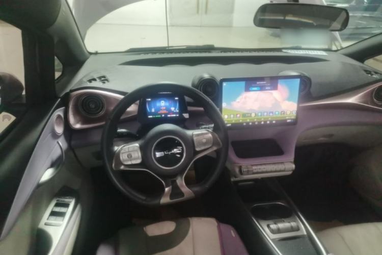 Used BYD Dolphin 2023 420 km Free Version Steering Wheel