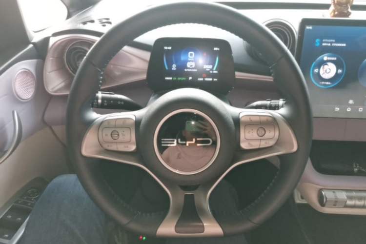 Used BYD Dolphin 2023 420 km Free Version Steering Wheel