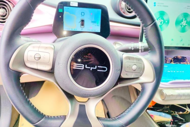 Used BYD Dolphin 2023 420 km Free Version Steering Wheel