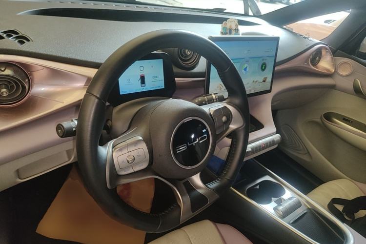 Used BYD Dolphin 2023 420 km Free Version Steering Wheel
