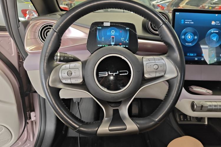 Used BYD Dolphin 2023 420 km Free Version Steering Wheel