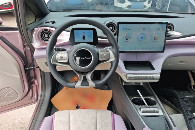 Used BYD Dolphin 2023 420 km Free Version Steering Wheel