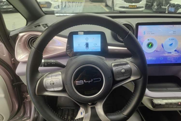 Used BYD Dolphin 2023 420 km Free Version Steering Wheel