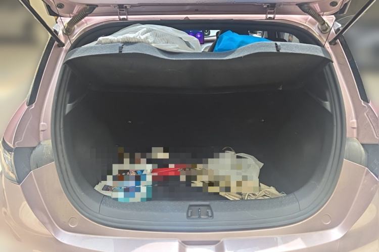 Used BYD Dolphin 2023 420 km Free Version Trunk