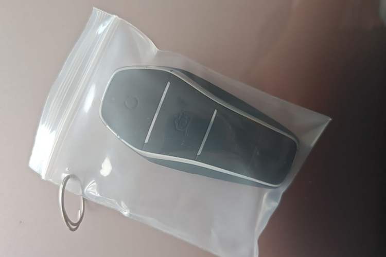Used BYD Dolphin 2023 420 km Fashion Edition Vehicle Key