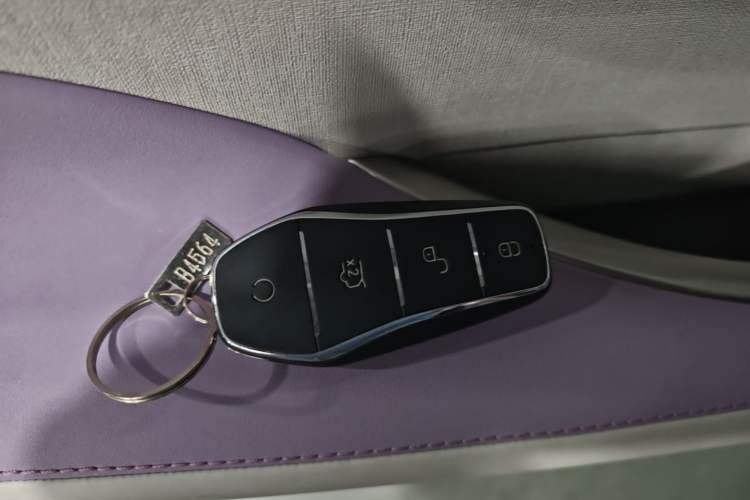 Used BYD Dolphin 2023 420 km Fashion Edition Vehicle Key