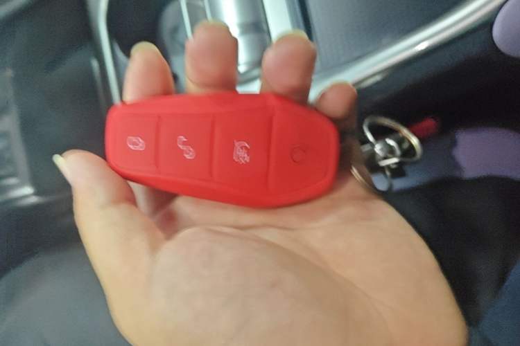 Used BYD Dolphin 2023 420 km Free Version Vehicle Key