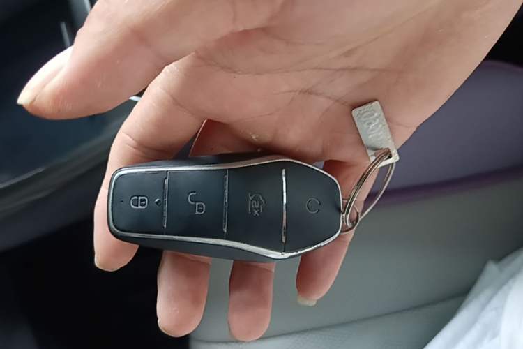 Used BYD Dolphin 2023 420 km Free Version Vehicle Key