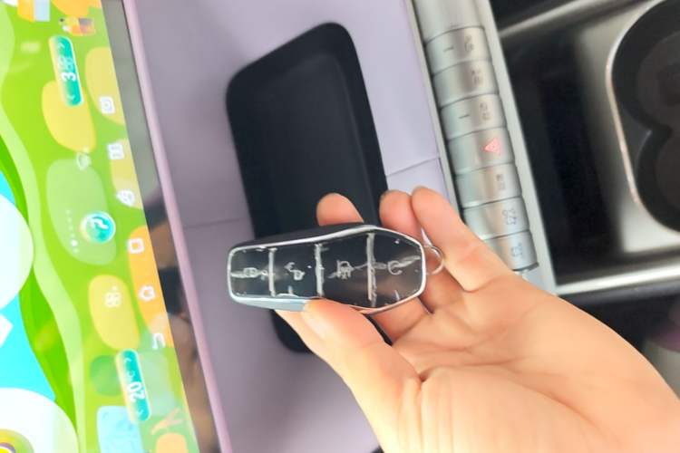 Used BYD Dolphin 2023 420 km Free Version Vehicle Key