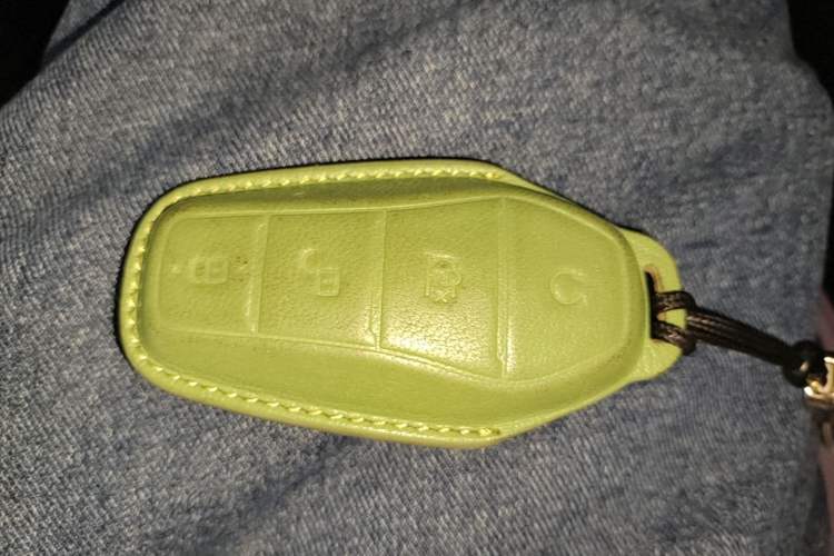 Used BYD Dolphin 2023 401km Knight Edition Vehicle Key