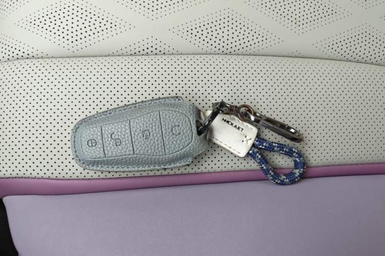 Used BYD Dolphin 2023 420 km Fashion Edition Vehicle Key