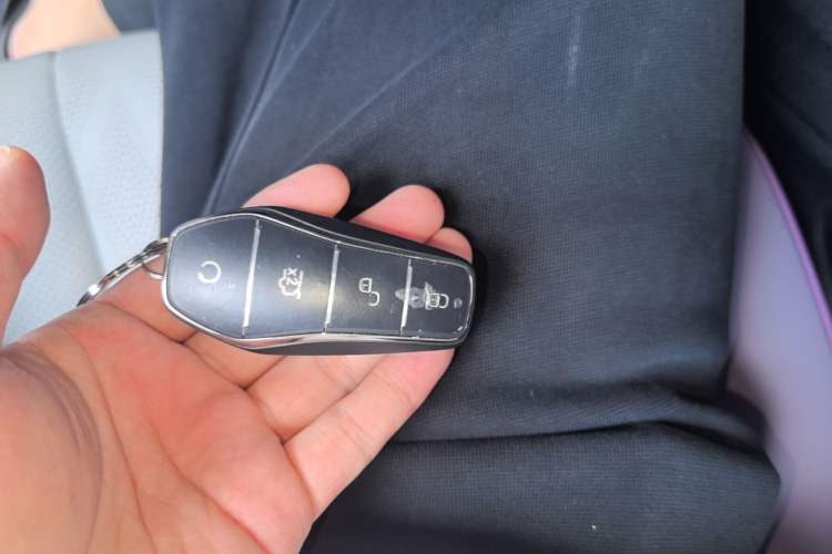 Used BYD Dolphin 2023 420 km Free Version Vehicle Key