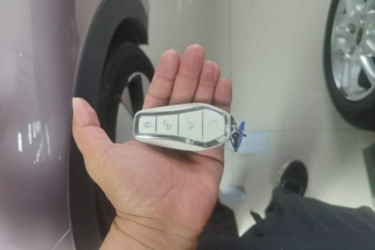 Used BYD Dolphin 2023 420 km Free Version Vehicle Key
