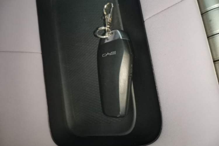 Used BYD Dolphin 2023 420 km Free Version Vehicle Key