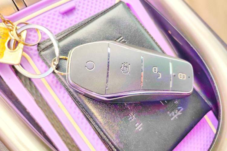 Used BYD Dolphin 2023 420 km Free Version Vehicle Key