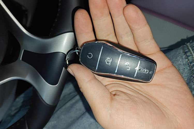 Used BYD Dolphin 2023 420 km Fashion Edition Vehicle Key