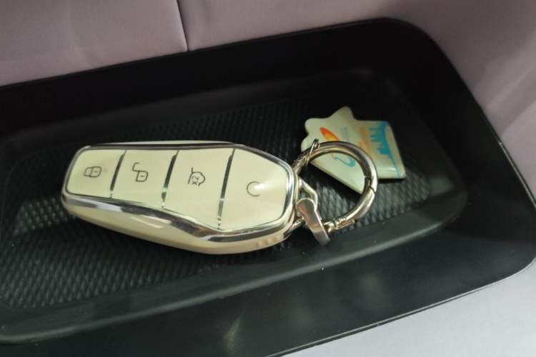 Used BYD Dolphin 2023 420 km Fashion Edition Vehicle Key