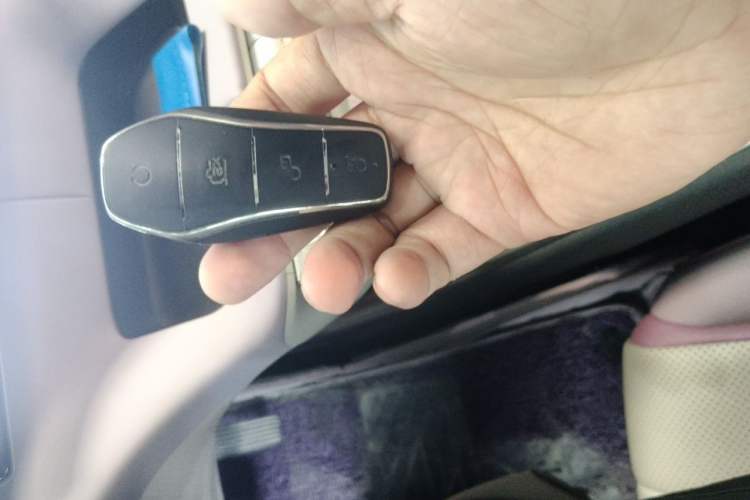 Used BYD Dolphin 2023 420 km Free Version Vehicle Key