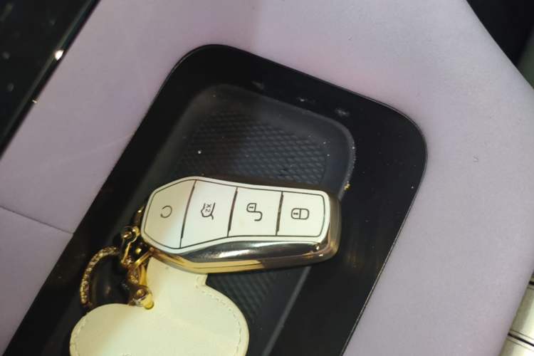 Used BYD Dolphin 2023 420 km Fashion Edition Vehicle Key