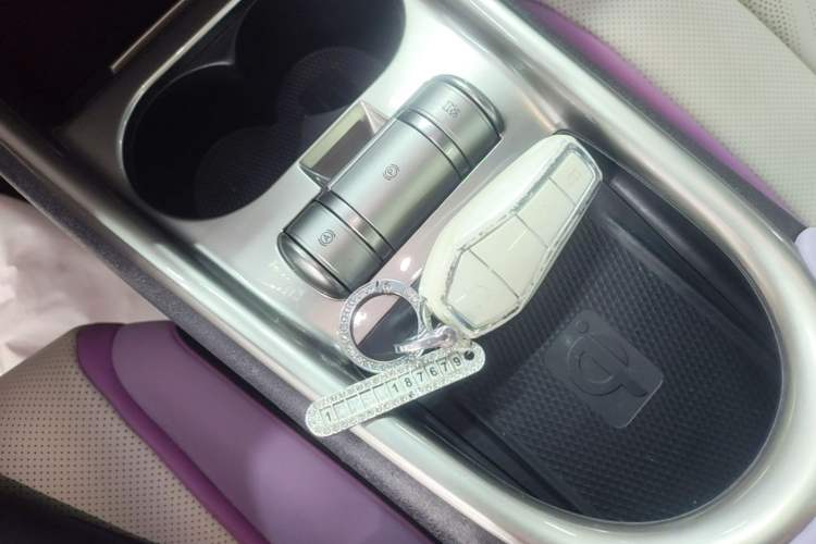 Used BYD Dolphin 2023 420 km Fashion Edition Vehicle Key
