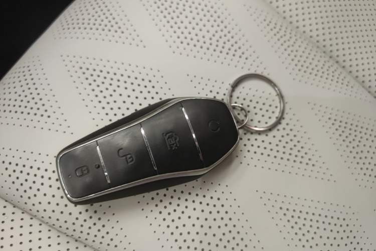 Used BYD Dolphin 2023 420 km Free Version Vehicle Key