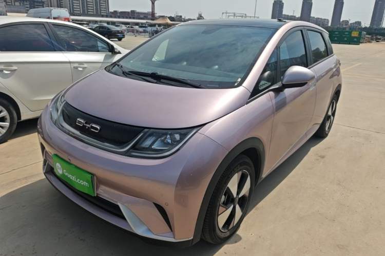 Used BYD Dolphin 2023 420 km Fashion Edition Guazi used car, China used car export, Used car for sale, Used  cars, Cheapest cars for sale