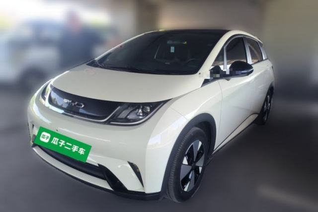 Used BYD Dolphin 2023 420 km Free Version