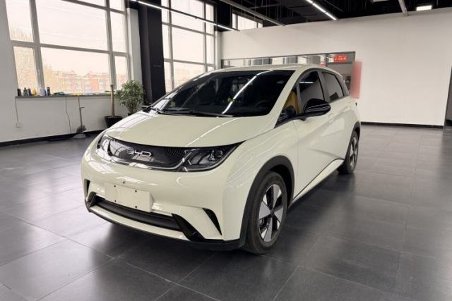 Used BYD Dolphin 2023 420 km Free Version