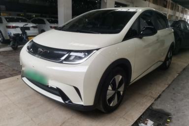 Used BYD Dolphin 2023 420 km Free Version