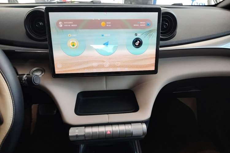 Used BYD Dolphin 2023 420 km Free Version Audio And AC Panel