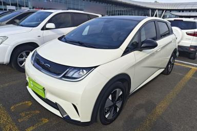 Used BYD Dolphin 2023 420 km Fashion Edition