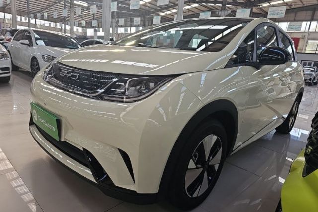 Used BYD Dolphin 2023 420 km Free Version