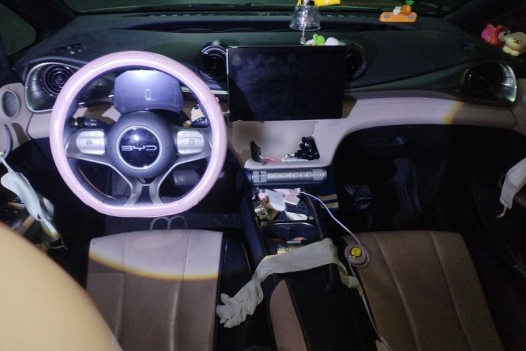 Used BYD Dolphin 2023 420 km Fashion Edition Center Console
