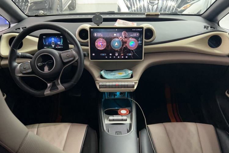 Used BYD Dolphin 2023 420 km Fashion Edition Center Console